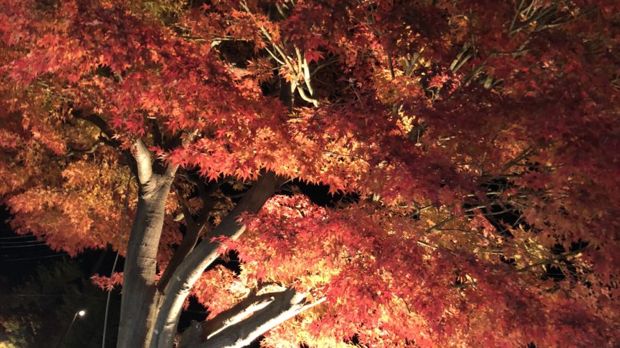 紅葉祭り
